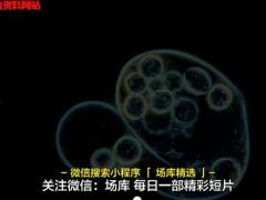 视频励志演讲相信初心的力量也相信科学.rar