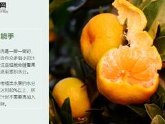 每日健康这种水果是冬日果王错过就吃大亏了但千万别这么吃13页.ppt