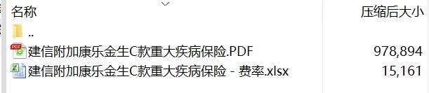 建信附加康乐金生C款重大疾病保险条款费率.rar