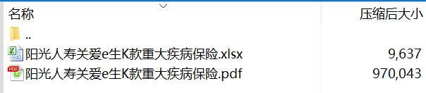 阳光人寿关爱e生K款重大疾病保险条款费率.rar