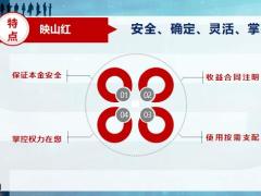 爱心人寿映山红增额终身寿险13页.pptx