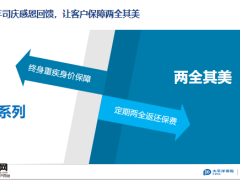 太平洋两全其美两全保险产品开发设计报告18页.pptx