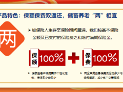 gg太平洋新产品两全其美宣导片30页.pptx