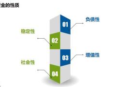 寿险公司资金运用管理10页.pptx