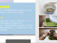 每日健康这3类蔬菜买一次够吃一年在家就能种新鲜健康又省钱15页.ppt