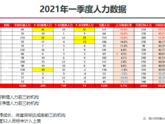 保险公司人力发展室工作总结汇报31页.pptx