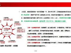 太平洋两全其美太阳图雨伞图训练篇13页.pptx