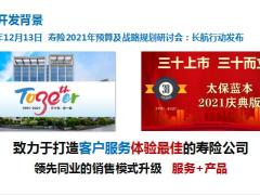 太保蓝本销售训练课件28页.pptx