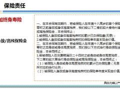 长生优加加终身寿险产品介绍13页.pptx