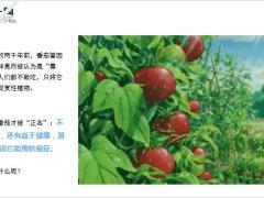 每日健康番茄堪称植物黄金熟吃生吃大不一样15页.ppt