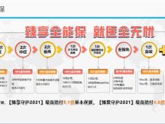 2021中英人寿服务体验计划宣传片53页.pptx