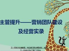 主管提升营销团队建设及经营实录51页.pptx