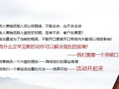 团队自主经营新人蓄客活动及操作指南23页.pptx