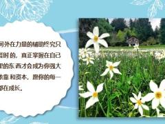 每日鸡汤只有参与实干拼搏的人才会收获.zip