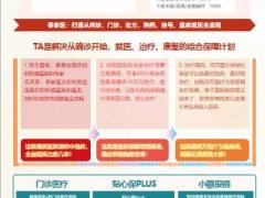 泰康乐享全保险产品计划书6页.pptx