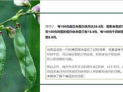 每日健康吃1斤扁豆等于喝15杯牛奶吃20个鸡蛋11页.ppt