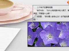 每日快乐早会21年4月21日使用12页.pptx