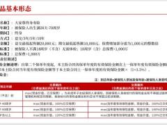 大家尊产品简析搭配养老社区的规则优势13页.pptx