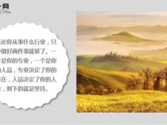 每日鸡汤不怕重头再来就怕没有未来.zip