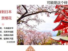 养老专题养老你怎么养38页.pptx