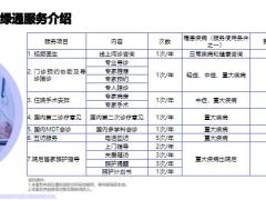 工银安盛国内绿通服务24页.pptx