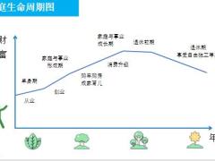 泰康人寿智慧养老解决方案30页.pptx