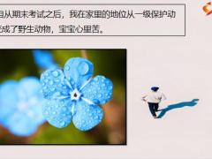 每日快乐早会21年4月26日使用12页.pptx