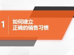 十金赢未来常态化年金险营销策略30页.pptx