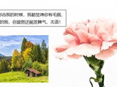 每日快乐早会21年4月27日使用12页.pptx