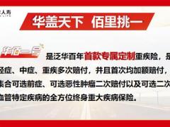 百年华佰一号终身重大疾病保险概述产品形态亮点投保规则附加服务介绍45页.pptx