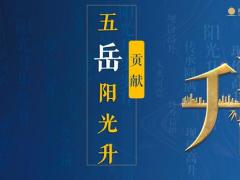 阳光人寿阳光升B款终身寿险产品宣传片35页.pptx