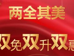 太保两全其美挂轴式小产会12页.pptx