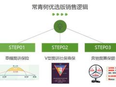 华夏常青树优选版销售逻辑两个专案模型28页.pptx