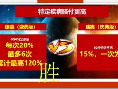 国寿新老版本对比盛典版PK庆典版29页.pptx