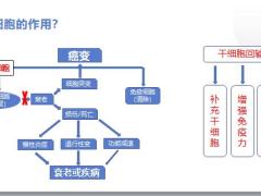 健康专题生物细胞技术为您健康保驾护航27页.pptx