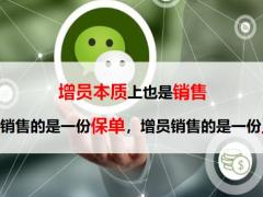 增员动摇面谈之草帽图T型图17页.pptx