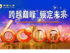 中国人寿个人养老规划蓝皮书19页.pptx