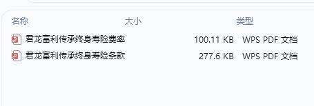 君龙富利传承终身寿险条款费率.rar