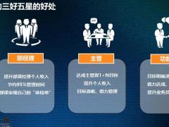 保险公司团队体系介绍36页.pptx