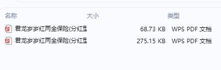 君龙岁岁红两全保险分红型条款费率.rar