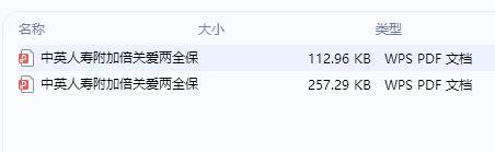 中英人寿附加倍关爱两全保险条款费率.rar