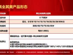 太平洋两全其美两全保险产品宣传26页.pptx