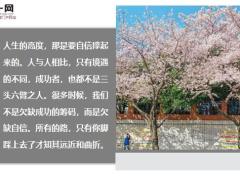 每日鸡汤与其祈求生活安稳点还不如自己强大点.zip