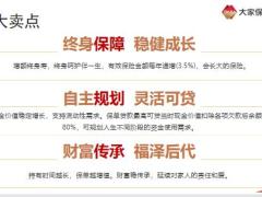 大家久久21终身寿险产品宣传片25页.pptx