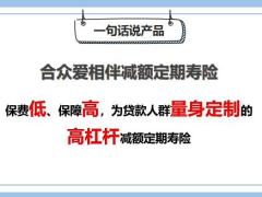 合众爱相伴减额定期寿险产品开发背景形态责任案例解析介绍24页.pptx