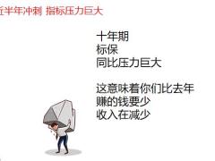 国寿鑫耀相伴感恩服务季产说会项目操作流程80页.pptx