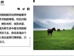 每日鸡汤只要奋斗不息人生终将辉煌.rar
