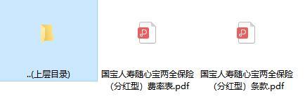 国宝人寿随心宝两全保险分红型条款费率.rar