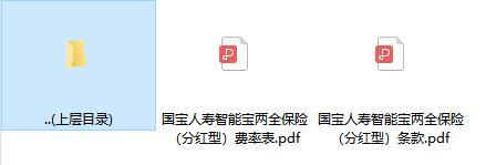 国宝人寿智能宝两全保险分红型条款费率.rar