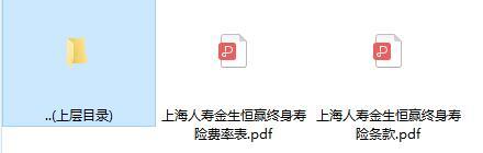 上海人寿金生恒赢终身寿险条款费率.rar